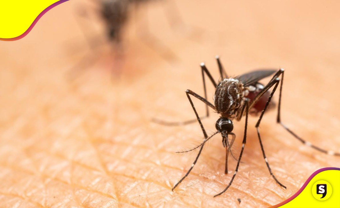 mosquitos pican más a algunas personas