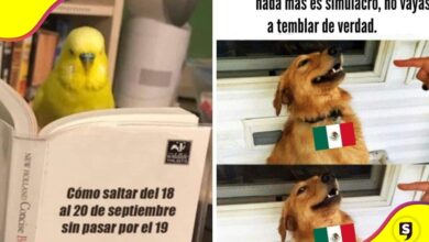 mejores memes del 19 de septiembre