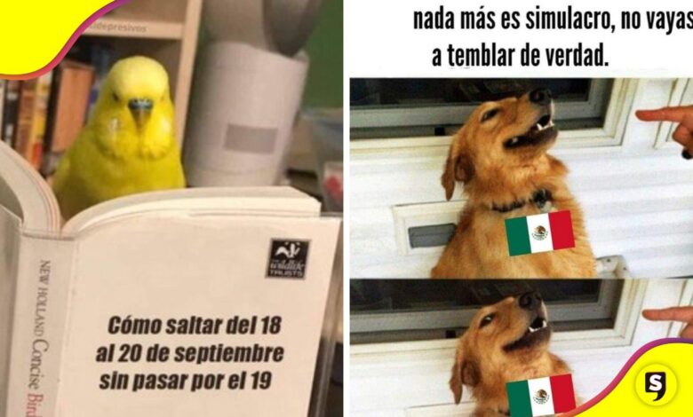 mejores memes del 19 de septiembre