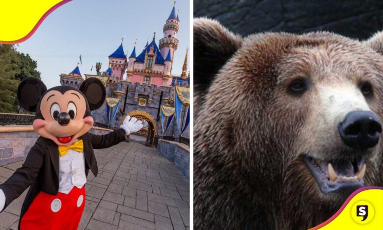 oso Disney World