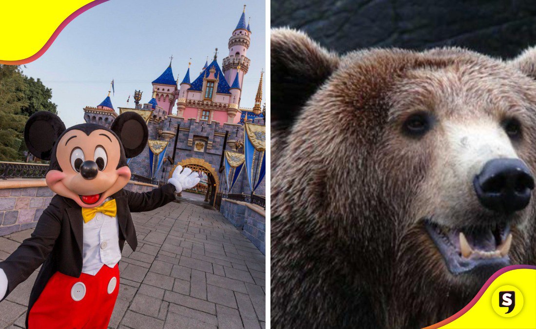 oso Disney World