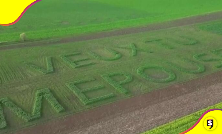 ¡Qué hermoso! Mira esta propuesta de matrimonio al estilo granjero