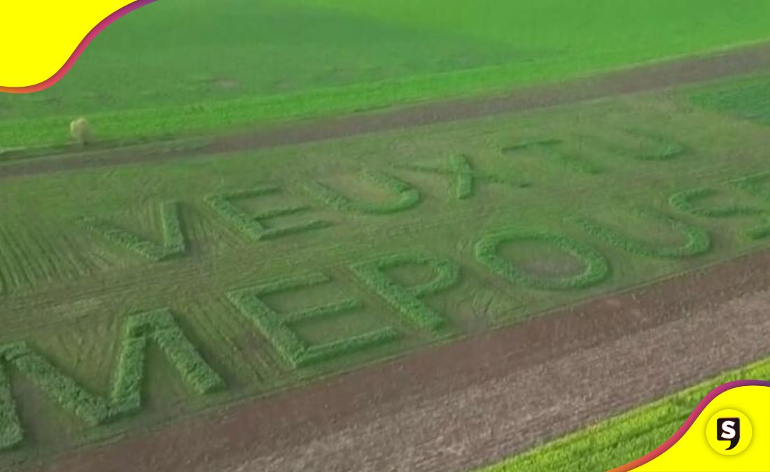 ¡Qué hermoso! Mira esta propuesta de matrimonio al estilo granjero