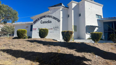 CAIC Camelia
