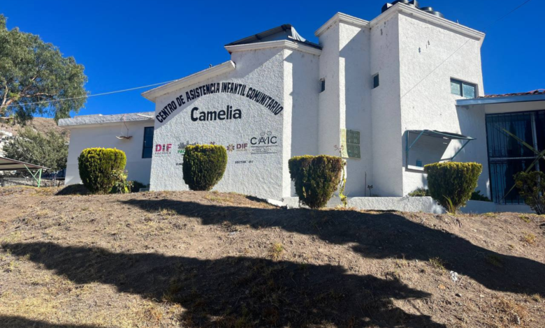 CAIC Camelia