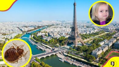 plaga de chinches en París