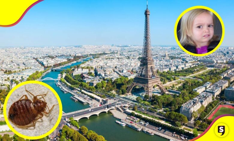 plaga de chinches en París
