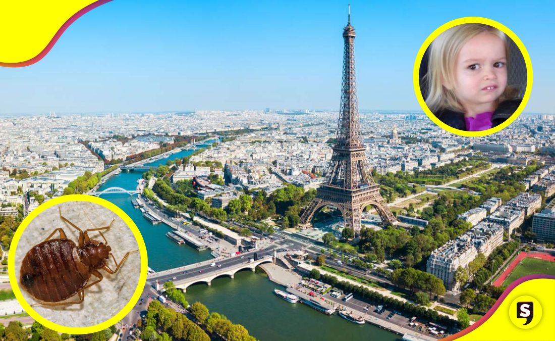 plaga de chinches en París