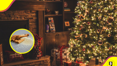 Canela en tu árbol de navidad: un toque aromático y beneficioso.