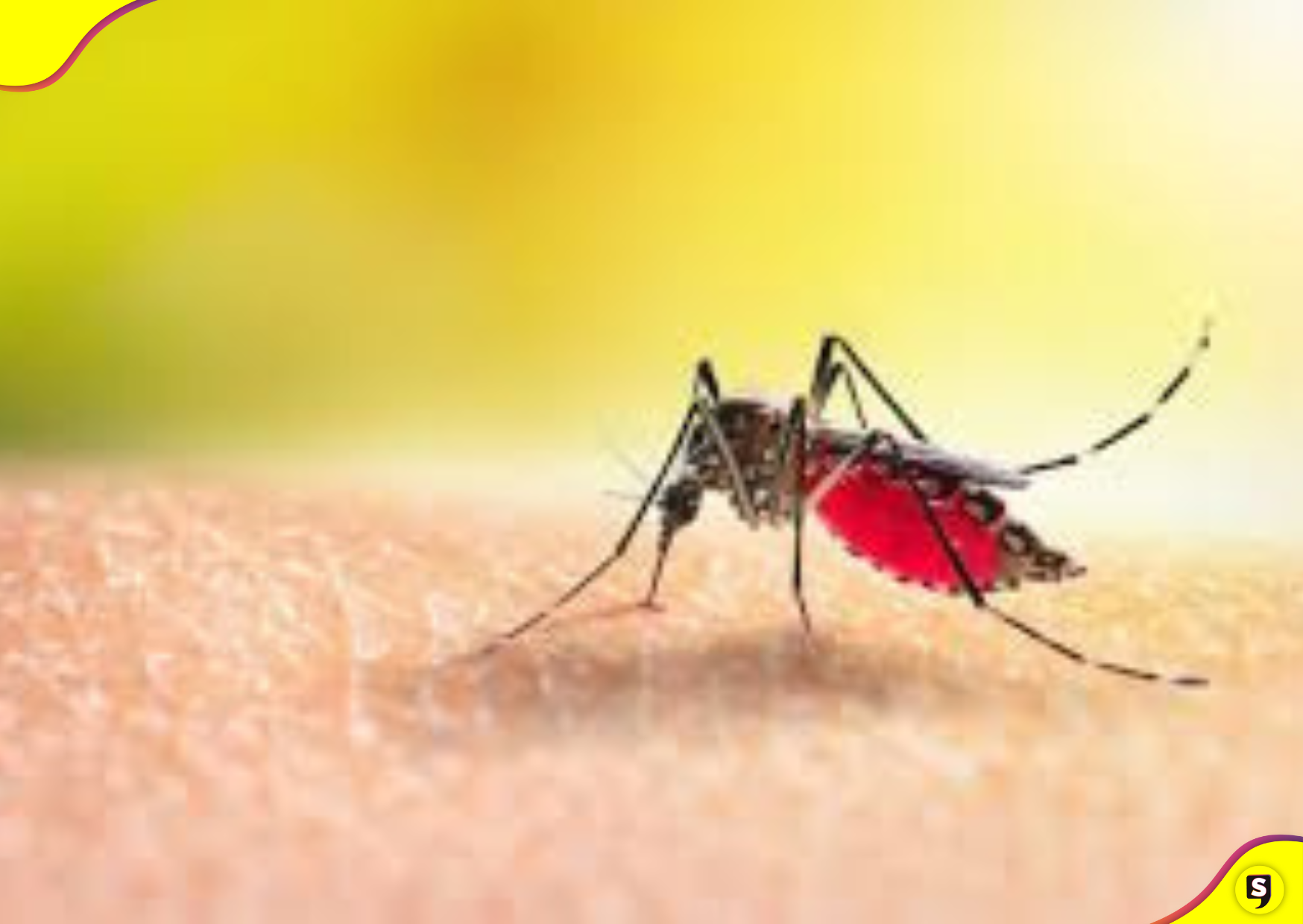 dengue en Hidalgo