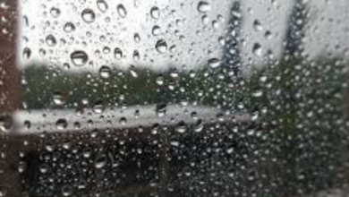 clima Hidalgo sábado