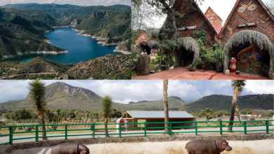 megapuente Hidalgo