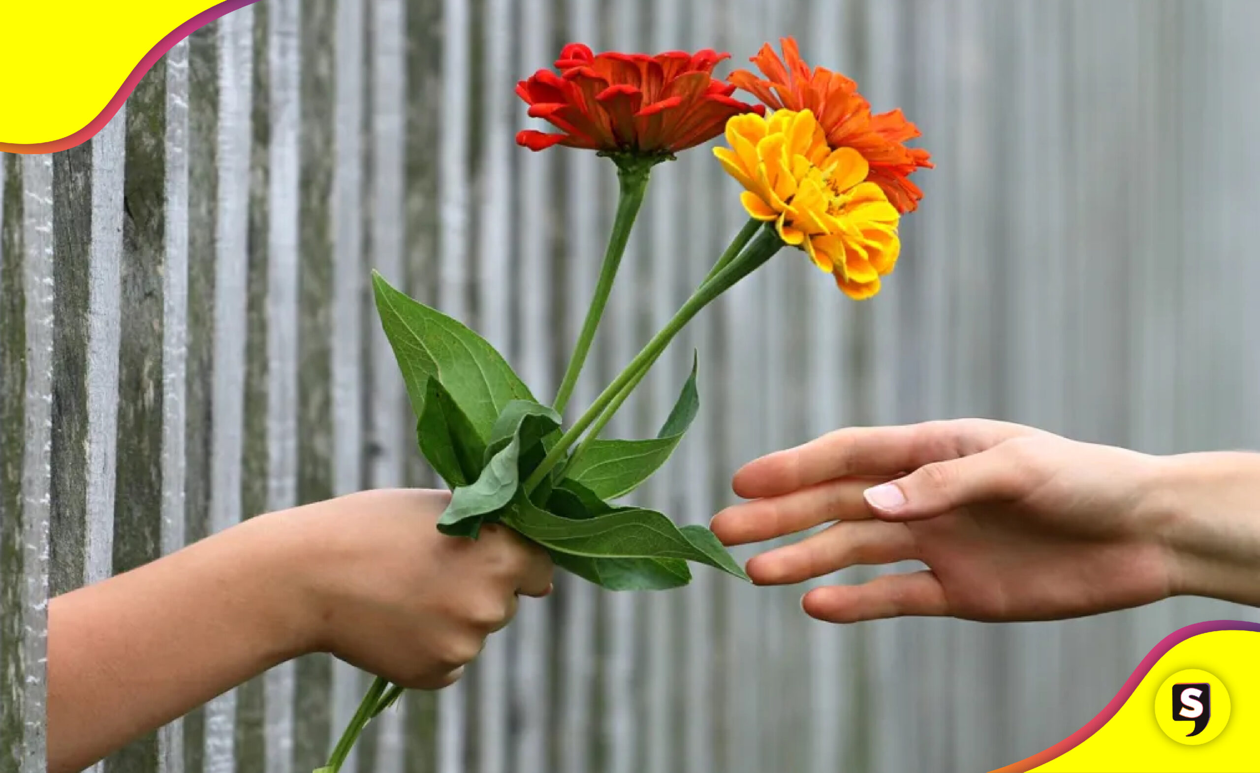 Giving Tuesday