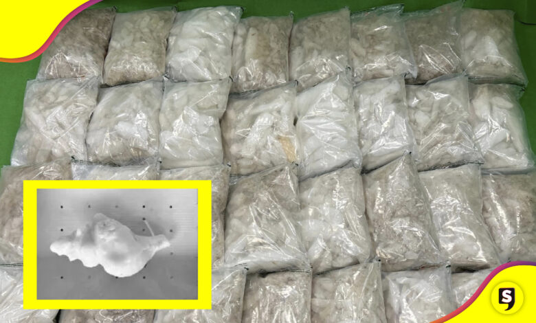 China metanfetaminas conchas