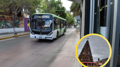 encendida del árbol