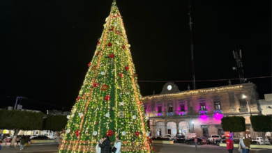 adornos navideños Ixmiquilpan
