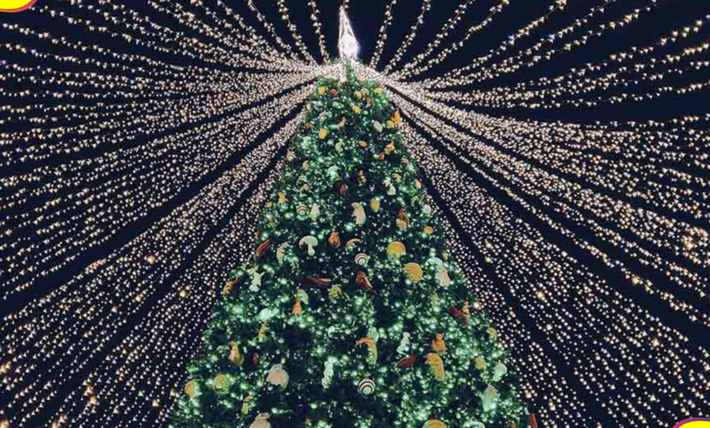 encendida árbol Plaza Juárez