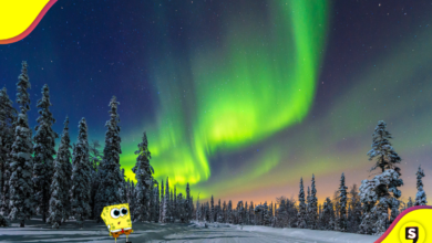 Chécate esta hermosura: Los mejores destinos para presenciar auroras boreales.