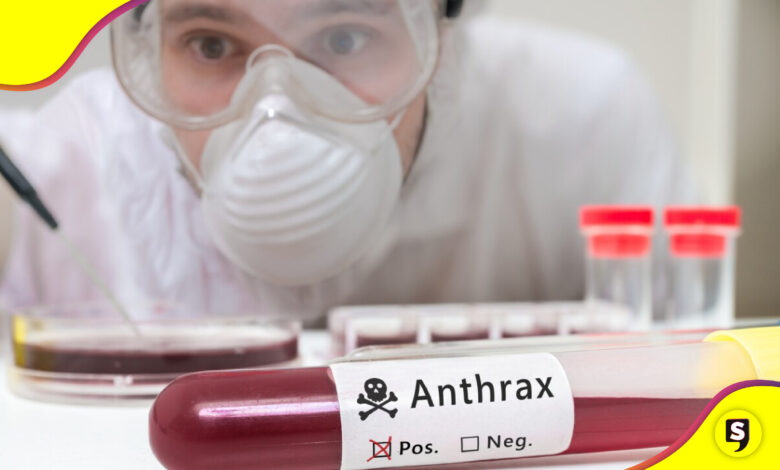 Ántrax virus OMS síntomas