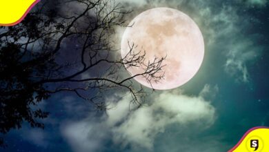Luna Fría 2023
