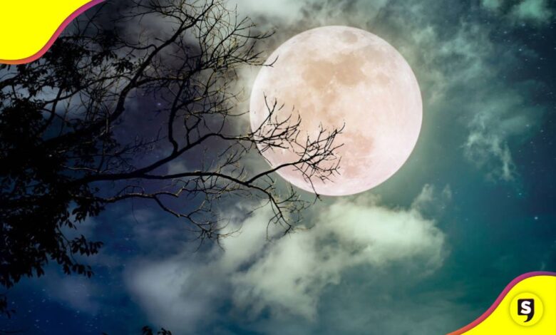 Luna Fría 2023