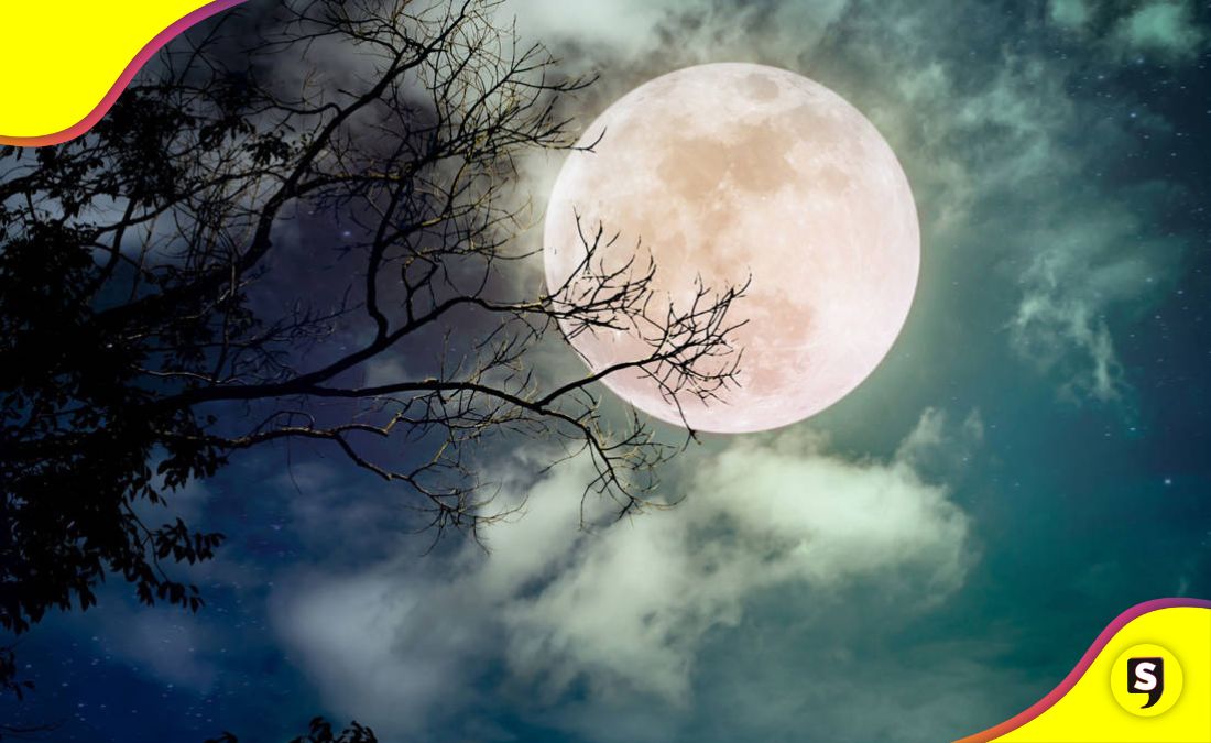Luna Fría 2023