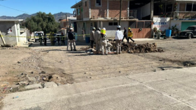 Guillermo Olivares Cuautepec