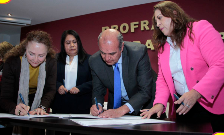 proceso electoral 2024 Hidalgo