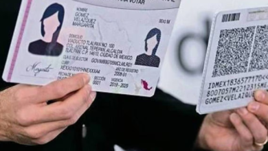 Comicios de junio votantes