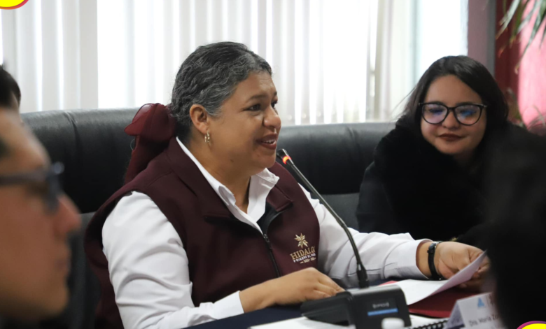 Defunciones influenza SSH