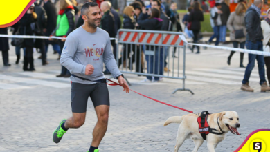 Dog Running: Lánzate a esta carrera con tu peludito.