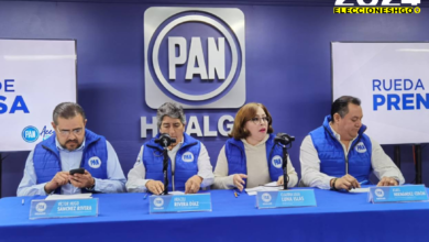 diputado federal PAN Hidalgo