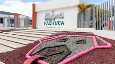 Centro Veterinario de Pachuca