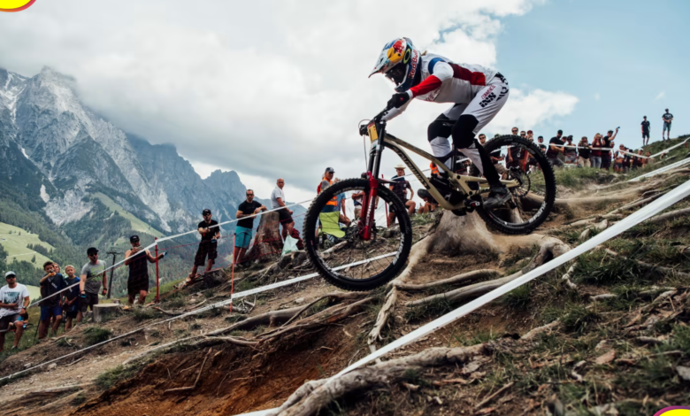 Bike Fest 2024