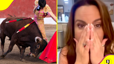 ¡Le agarró la chilladera! Kate del Castillo habla de la tauromaquia.