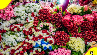 Flores y encanto: Top mejores lugares para conseguir flores en CDMX.