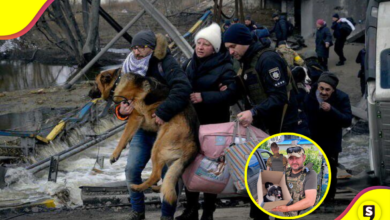 Animal Rescue Kharkiv: héroes en medio de la guerra.