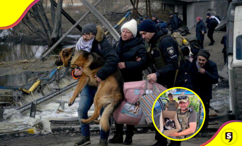 Animal Rescue Kharkiv: héroes en medio de la guerra.