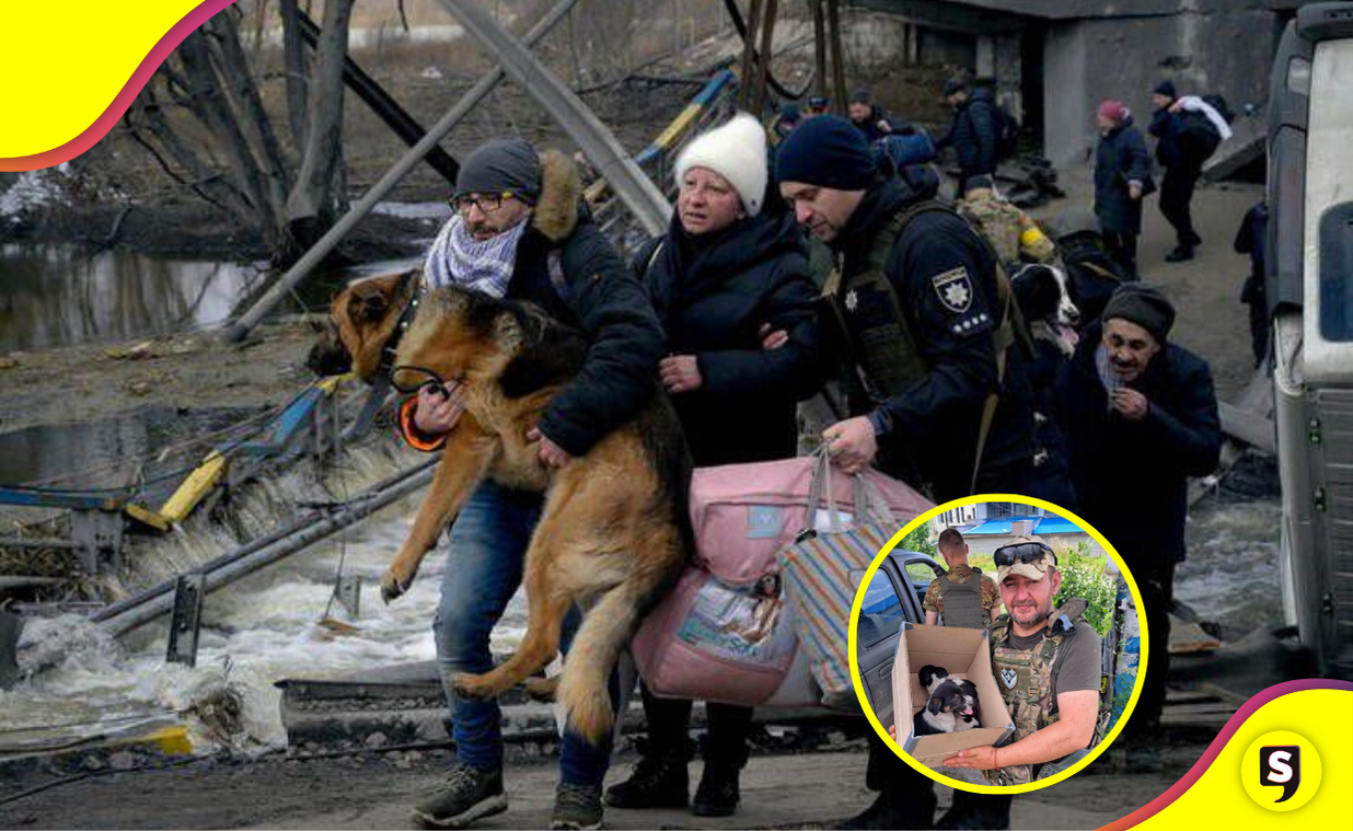 Animal Rescue Kharkiv: héroes en medio de la guerra.