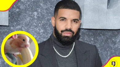 video sexual de Drake