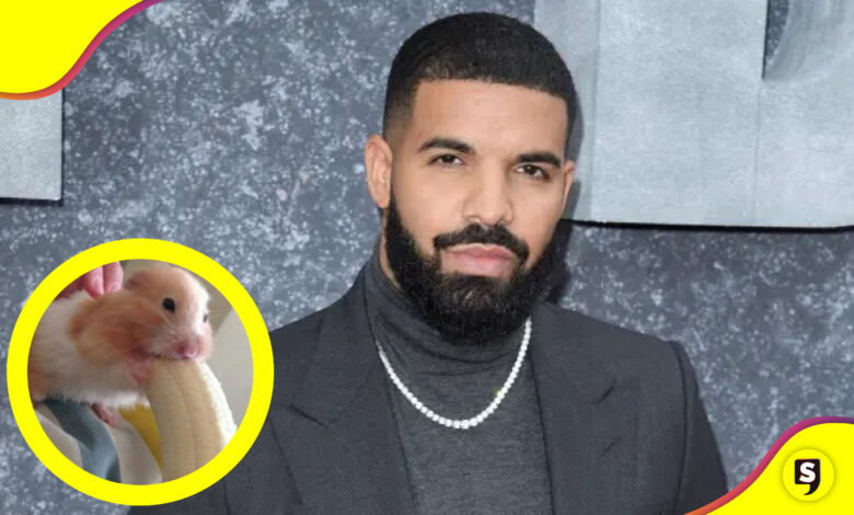 video sexual de Drake