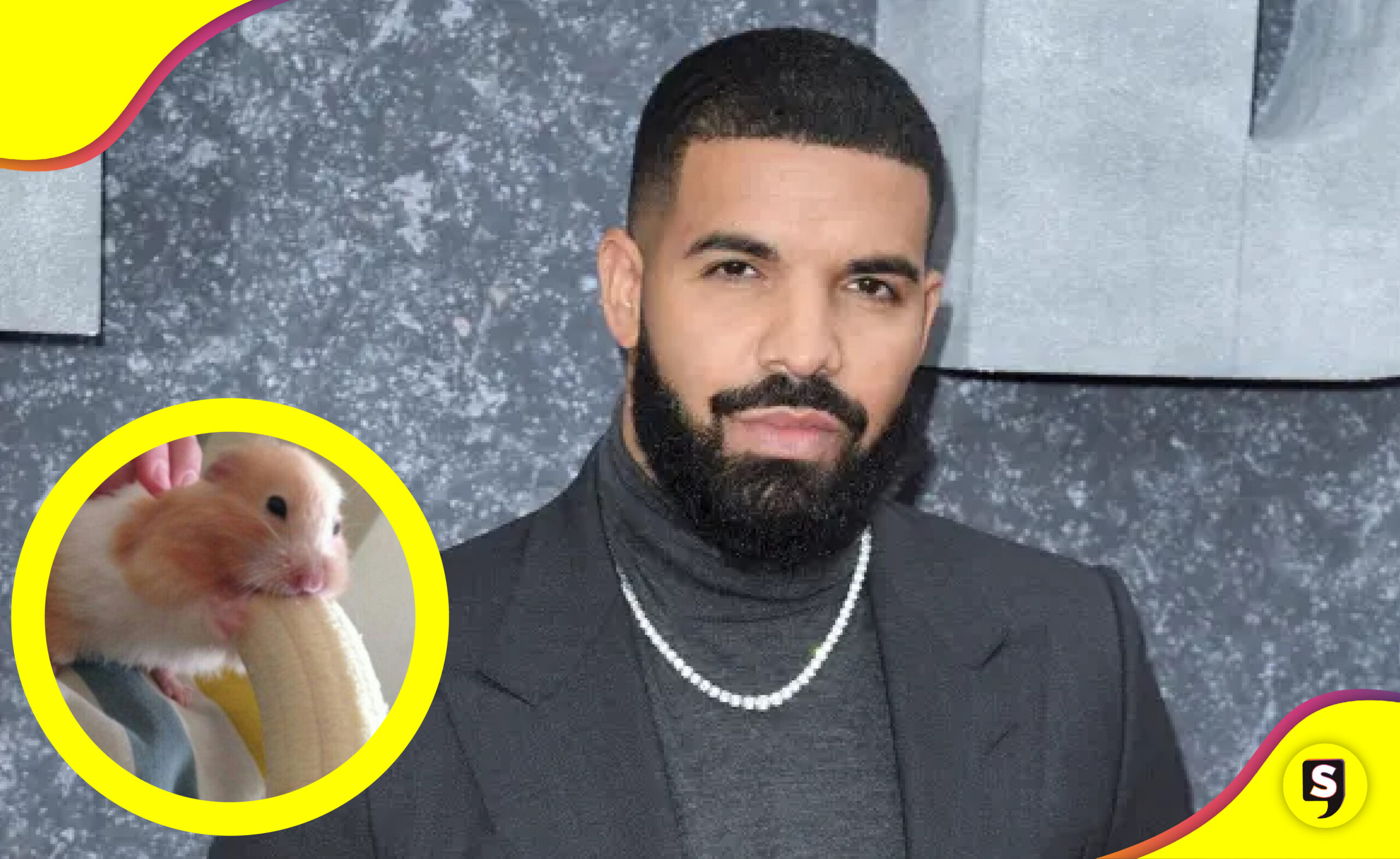 video sexual de Drake