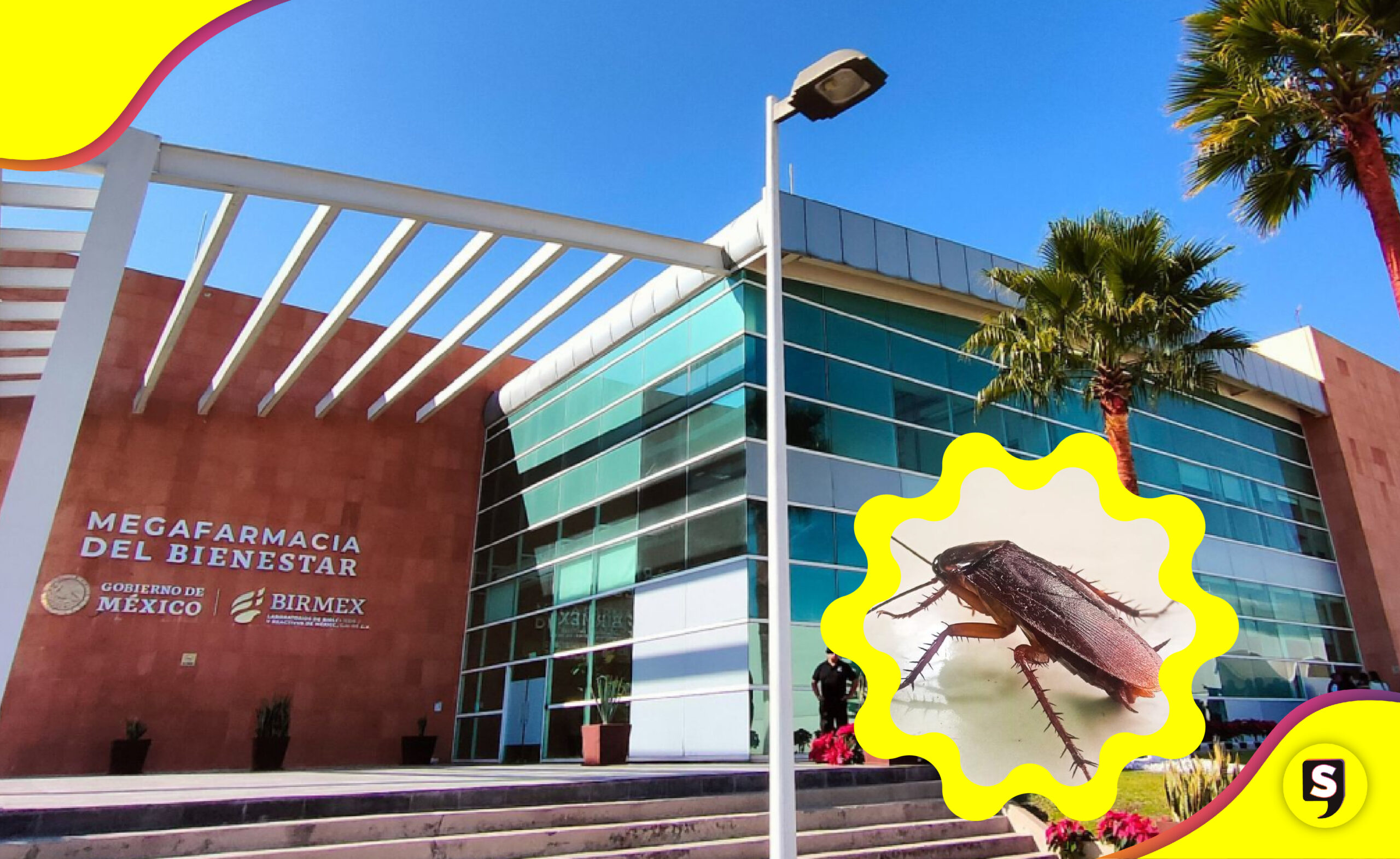 plagas de la Megafarmacia