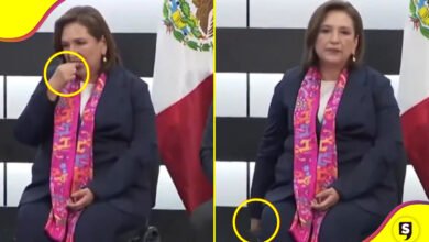 Xóchitl Gálvez chicle silla