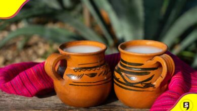 Pulque beneficios de tomar