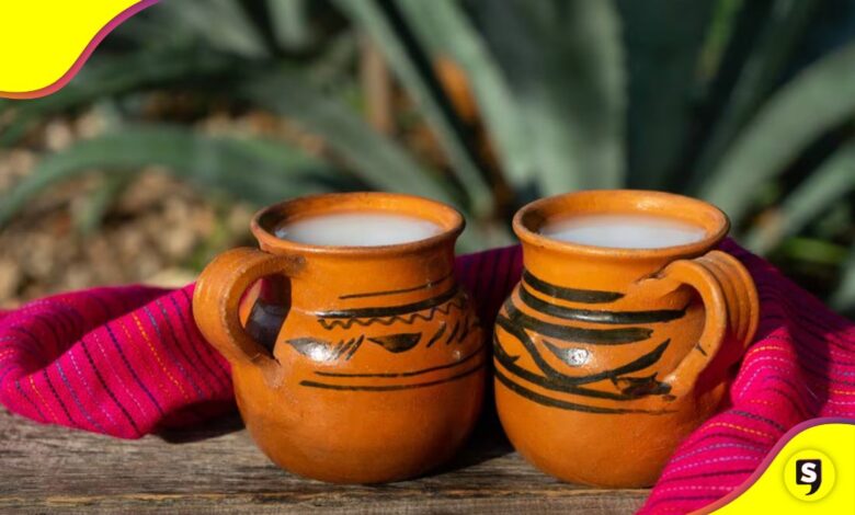 Pulque beneficios de tomar