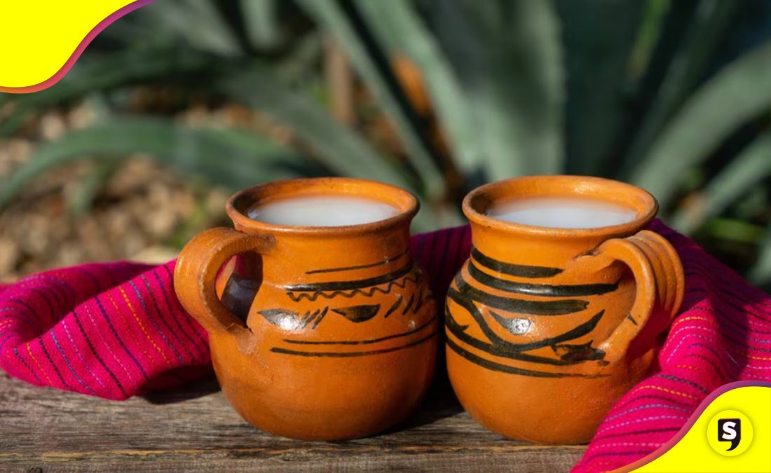 Pulque beneficios de tomar