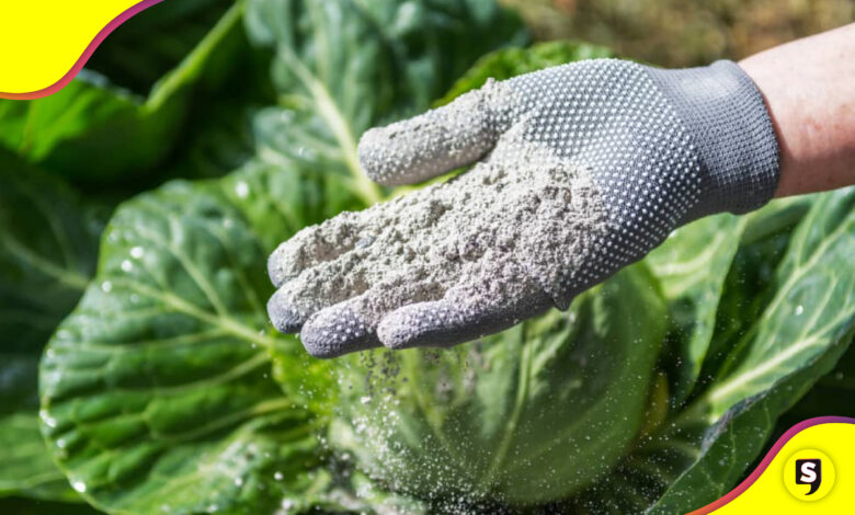 ceniza volcánica abono plantas