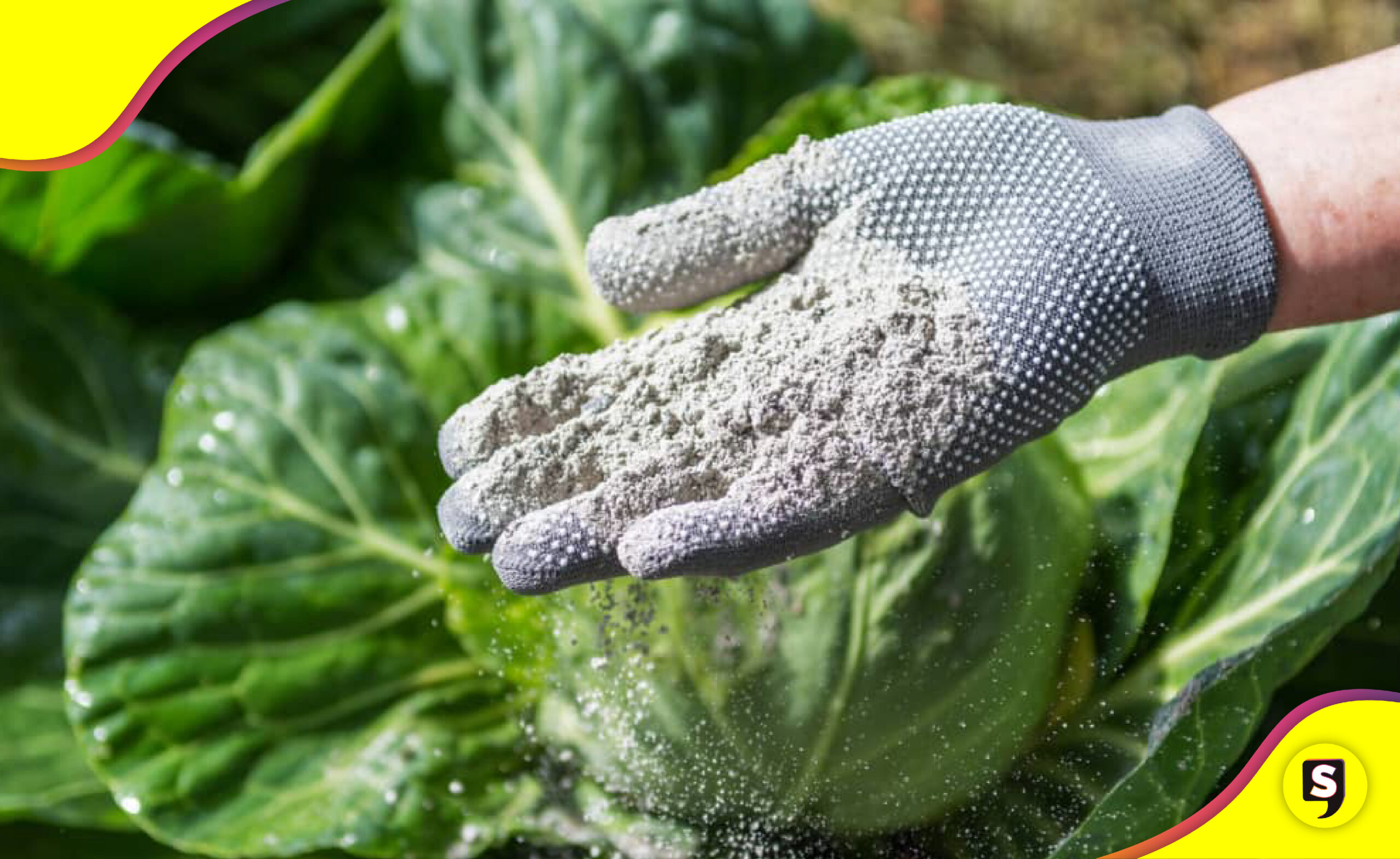 ceniza volcánica abono plantas