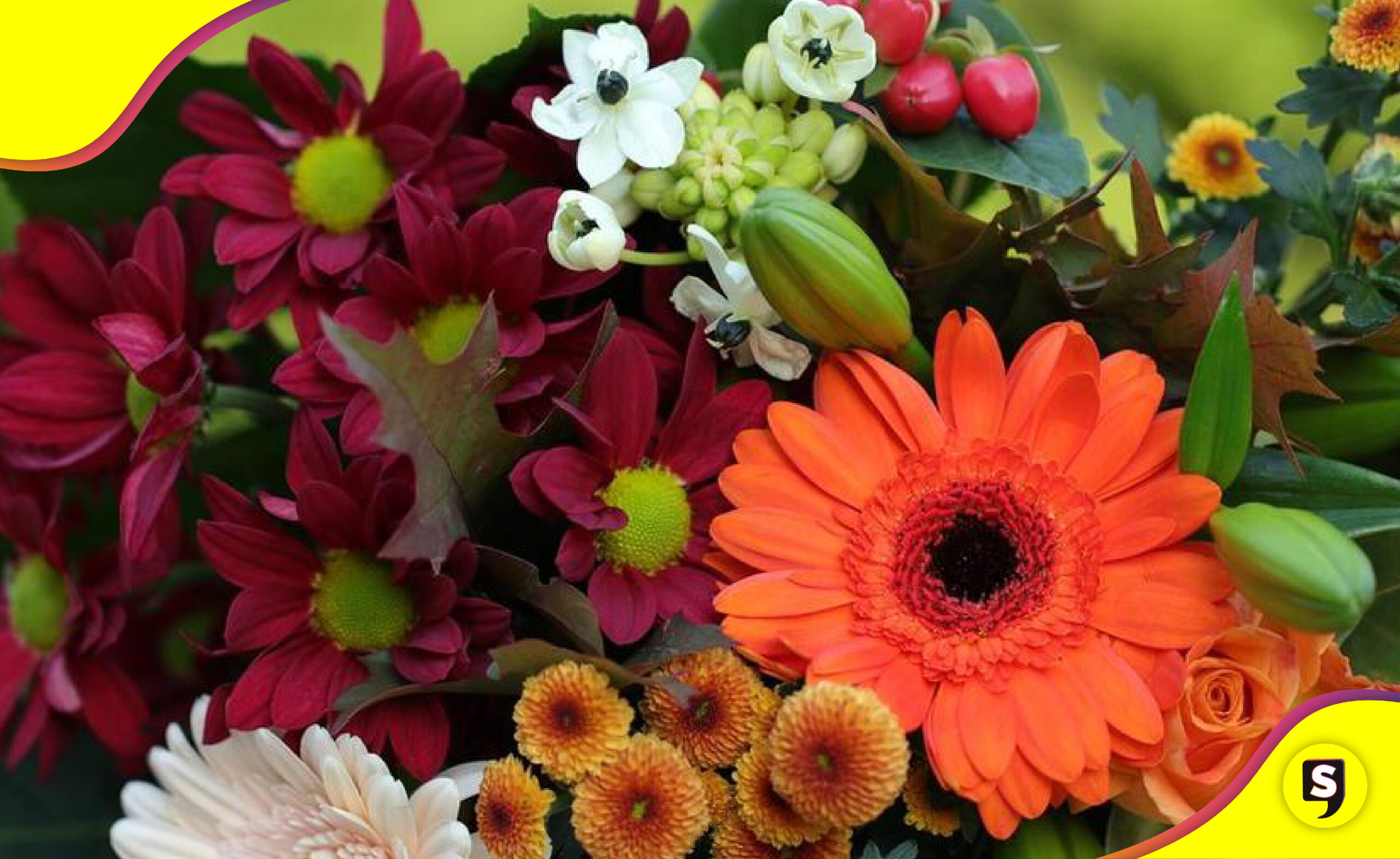 regalar flores el 29 de febrero